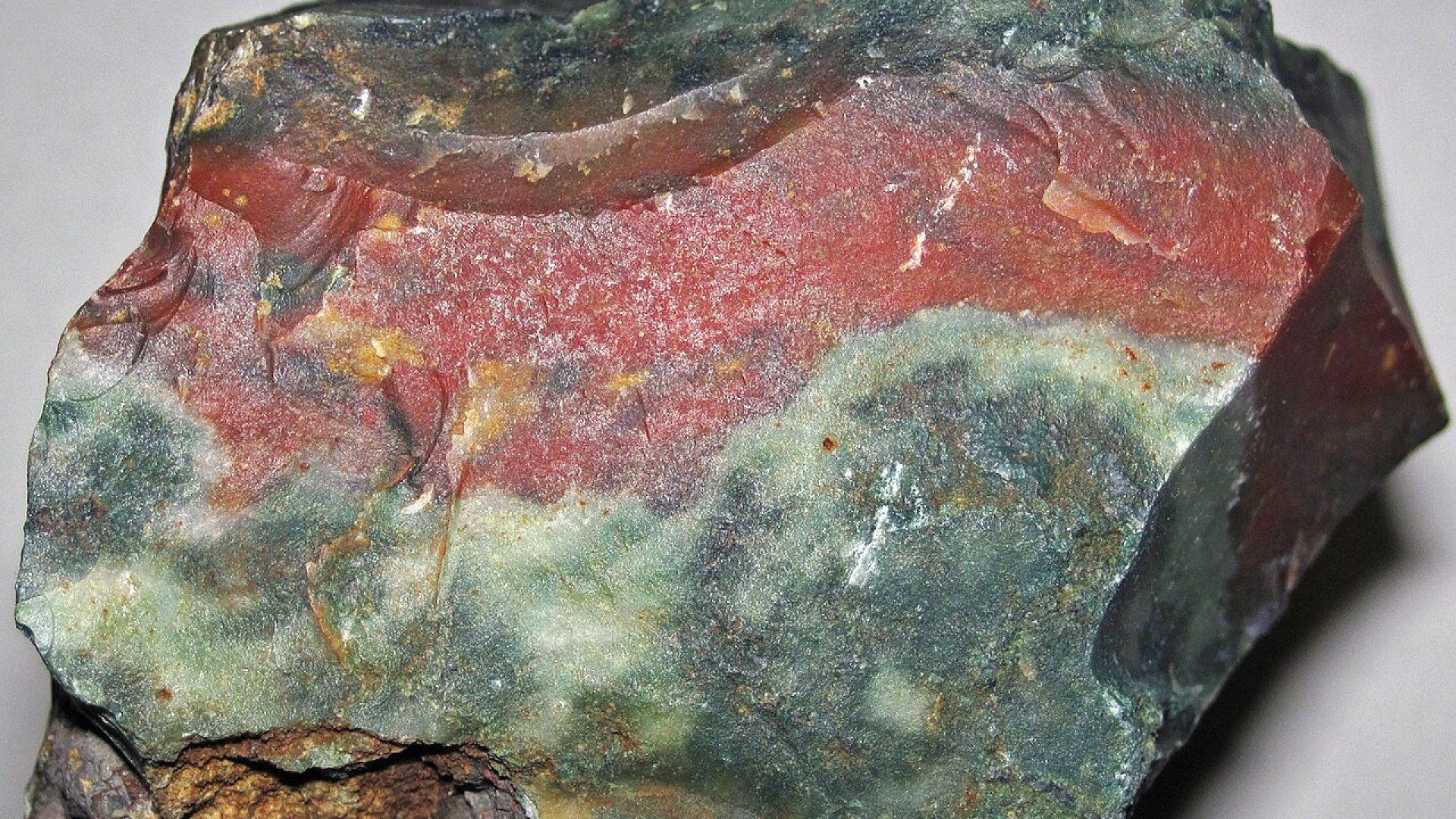 Krwawnik (heliotrop)