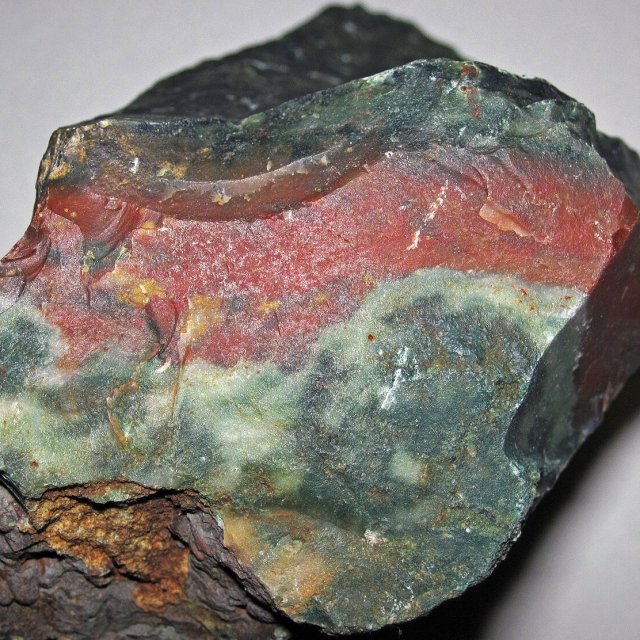 Krwawnik (heliotrop)